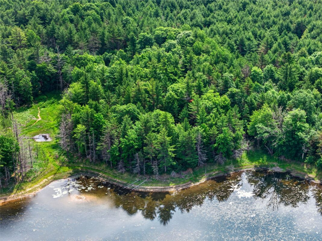 Lot A 9 Acres US Highway 63, Drummond WI 54832 - Land house for sale - MLS #1602880 - image10