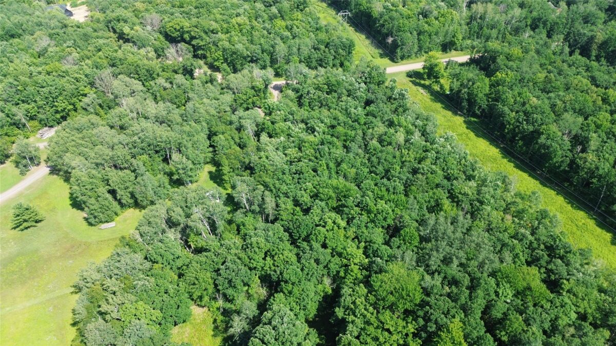 N 5029 Degenaar Drive, Spooner WI 54801 - Land house for sale - MLS #1603359 - image11