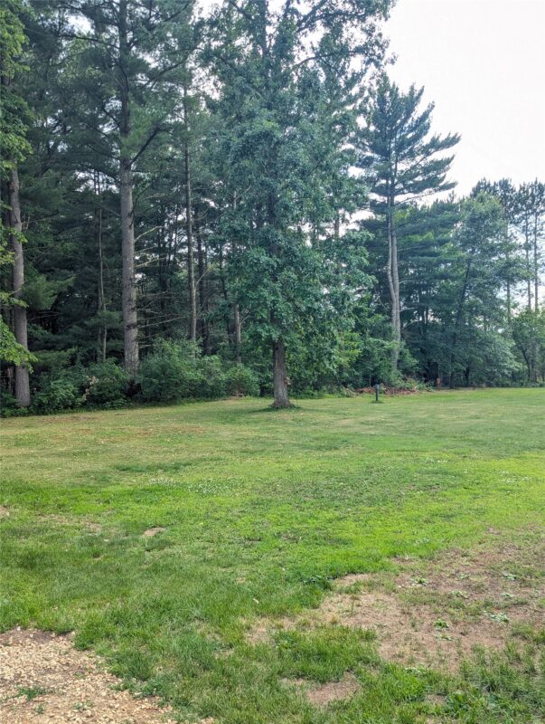 N10917 State Road 79, Boyceville WI 54725 - Residential house for sale - MLS #1602760 - image4