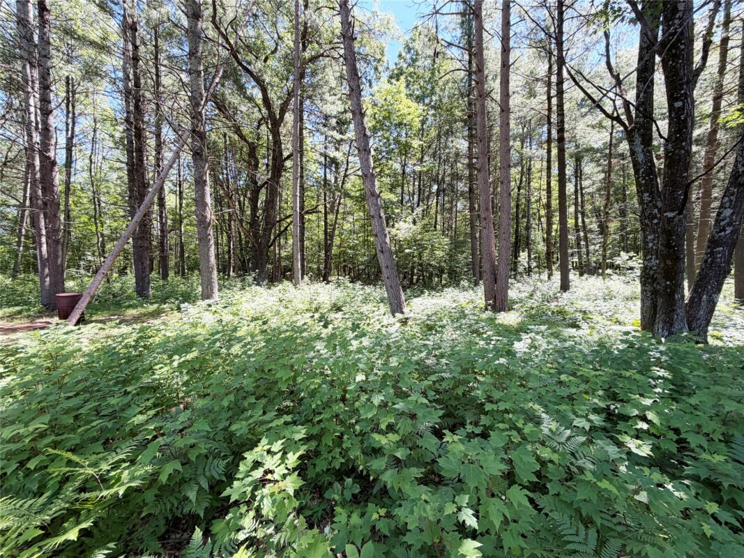 N1196 Swift Creek Drive, New Auburn WI 54757 - Residential house for sale - MLS #1602411 - image33