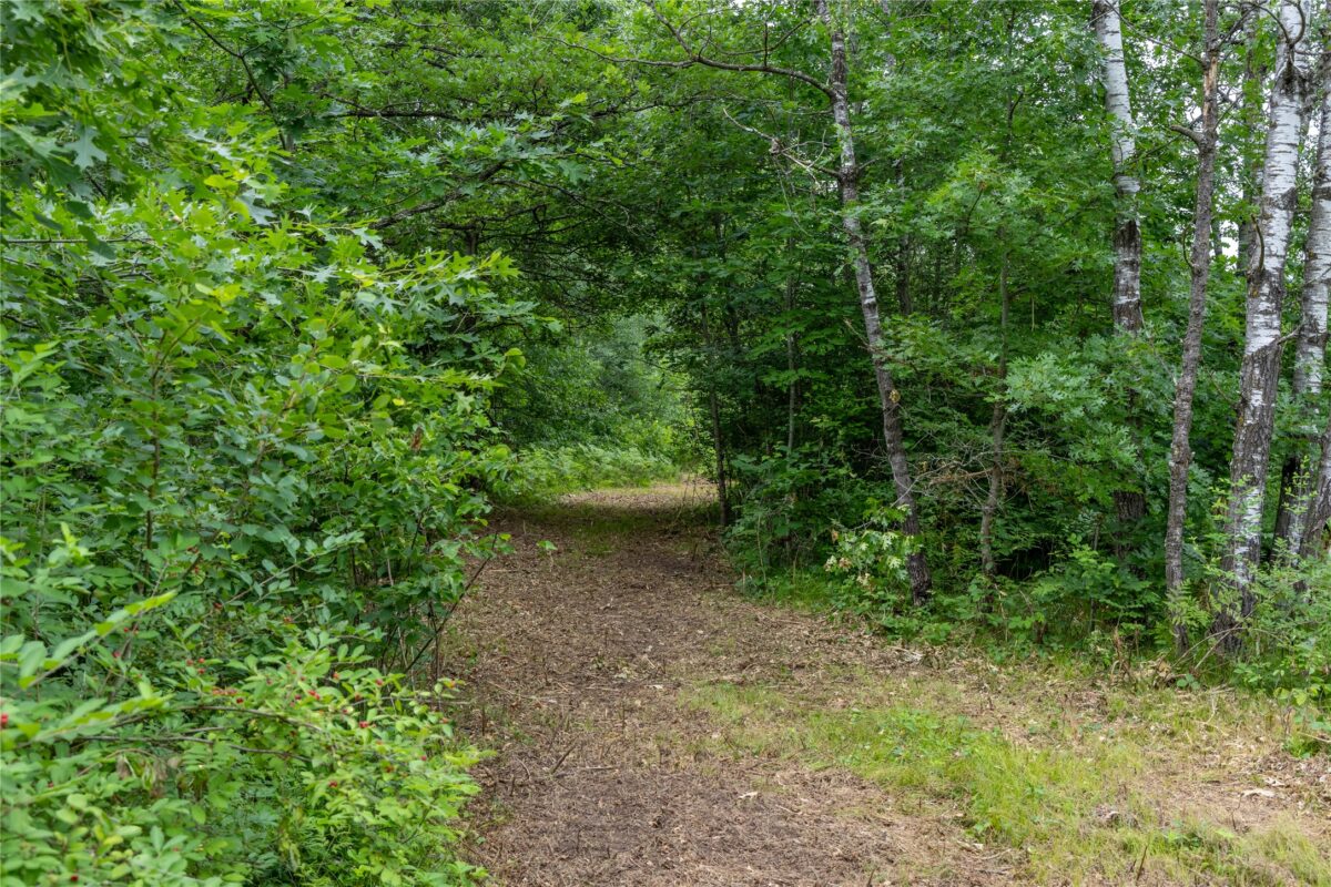 N1297 CTH E, Bruce WI 54819 - Land house for sale - MLS #1602906 - image11