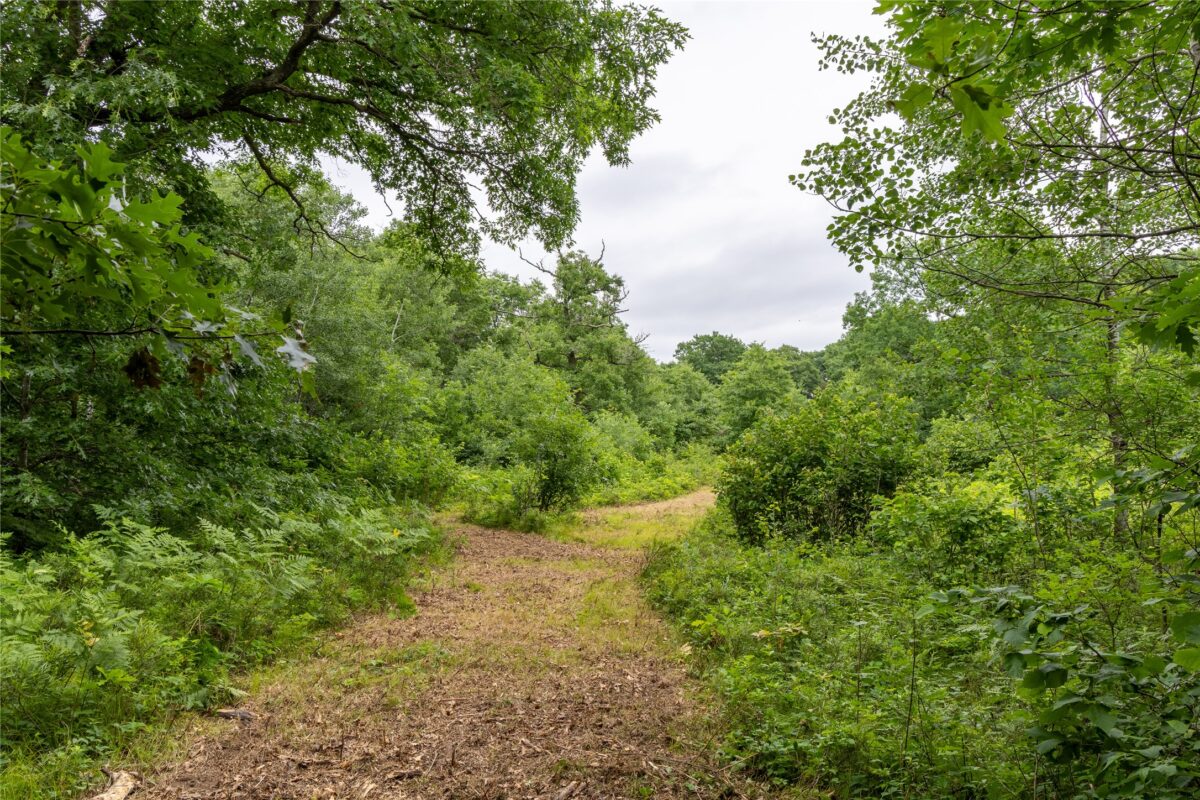 N1297 CTH E, Bruce WI 54819 - Land house for sale - MLS #1602906 - image12