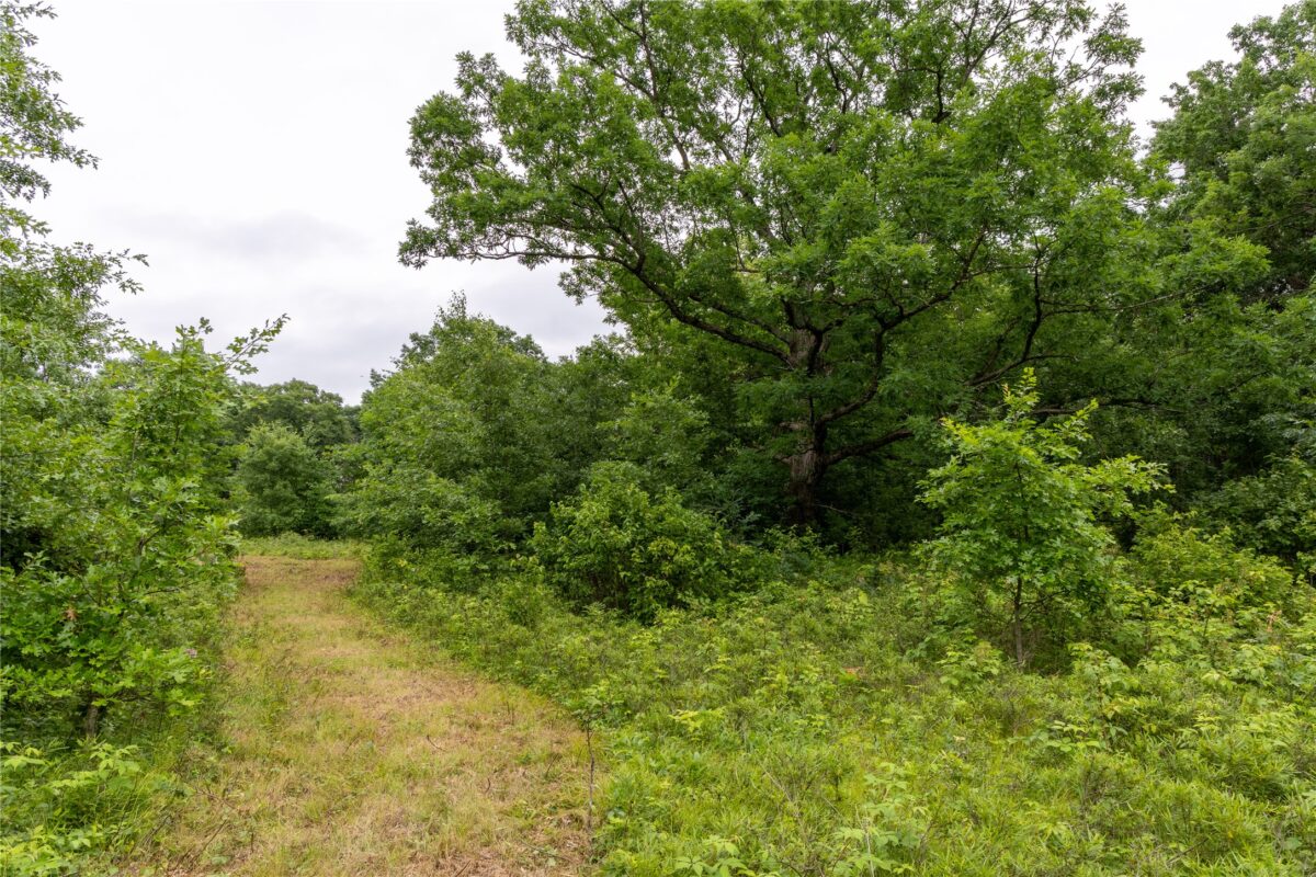 N1297 CTH E, Bruce WI 54819 - Land house for sale - MLS #1602906 - image13
