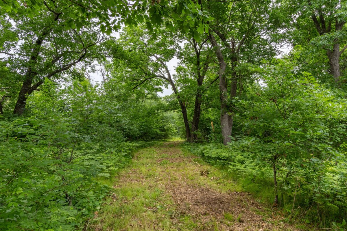 N1297 CTH E, Bruce WI 54819 - Land house for sale - MLS #1602906 - image14