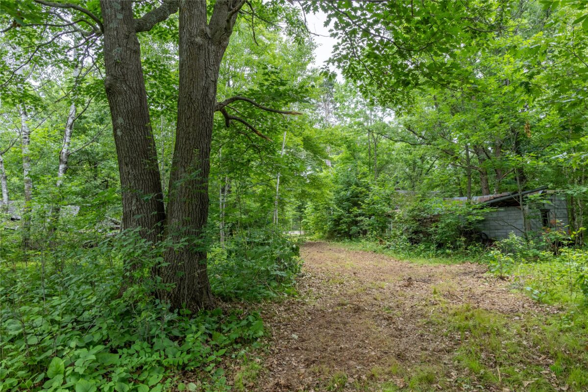 N1297 CTH E, Bruce WI 54819 - Land house for sale - MLS #1602906 - image15