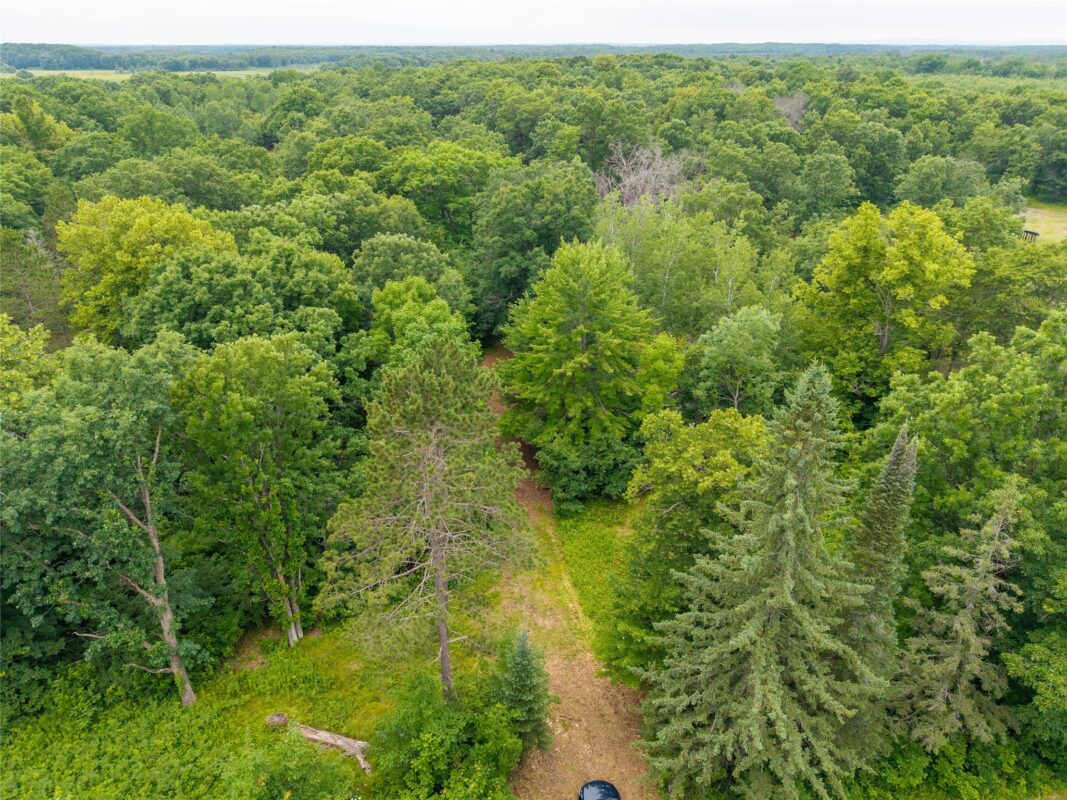 N1297 CTH E, Bruce WI 54819 - Land house for sale - MLS #1602906 - image17