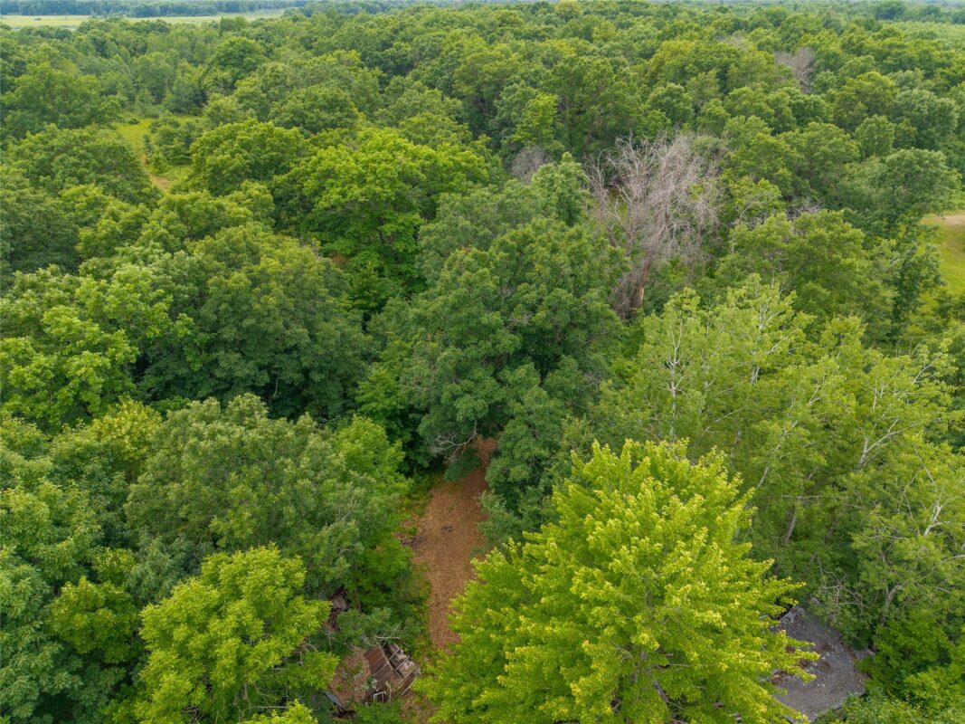 N1297 CTH E, Bruce WI 54819 - Land house for sale - MLS #1602906 - image18