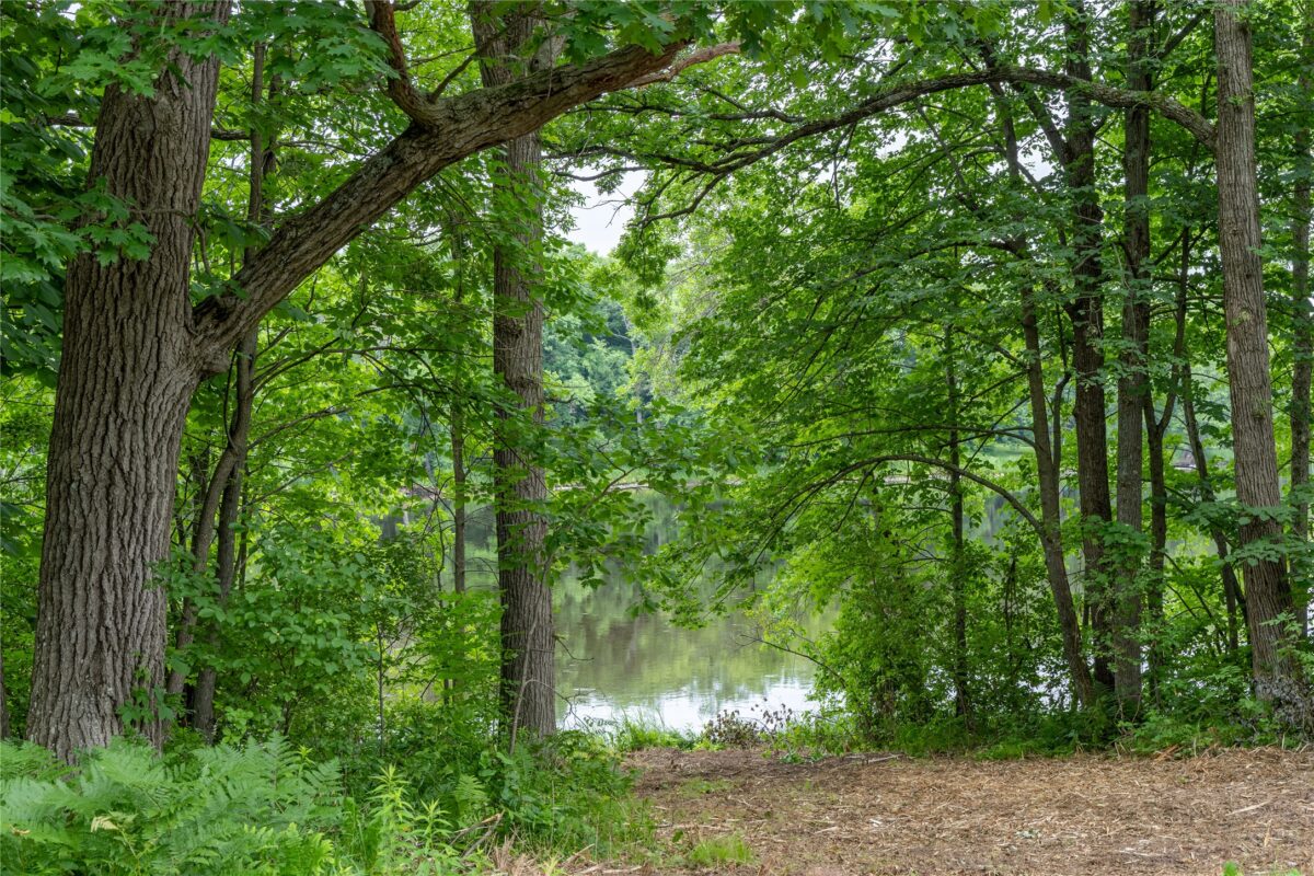 N1297 CTH E, Bruce WI 54819 - Land house for sale - MLS #1602906 - image3
