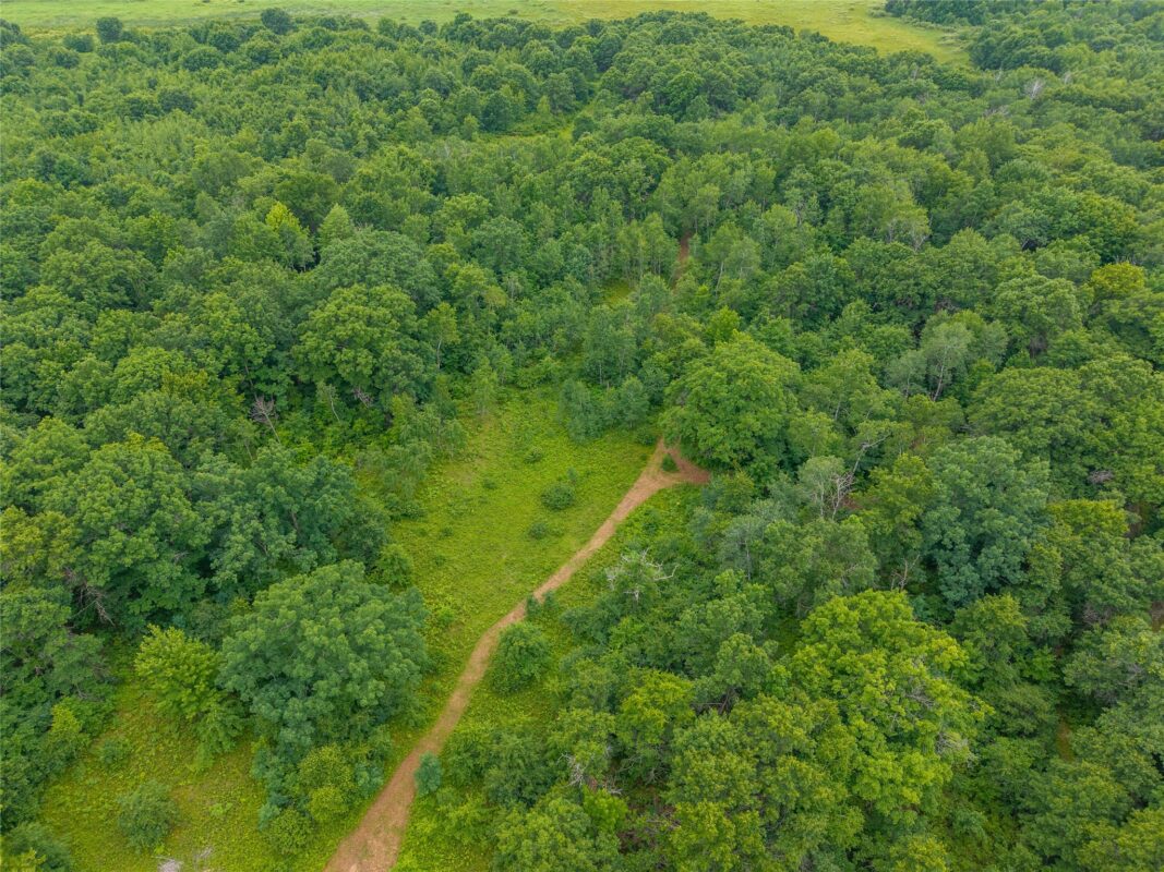 N1297 CTH E, Bruce WI 54819 - Land house for sale - MLS #1602906 - image22