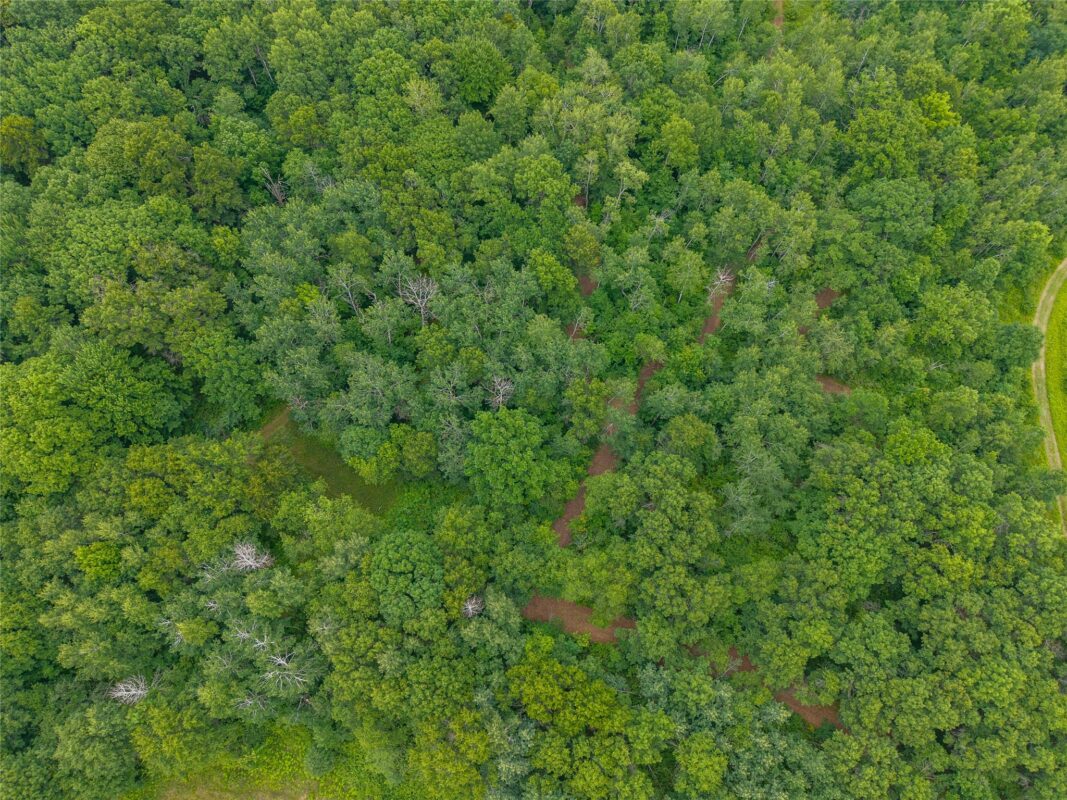 N1297 CTH E, Bruce WI 54819 - Land house for sale - MLS #1602906 - image24