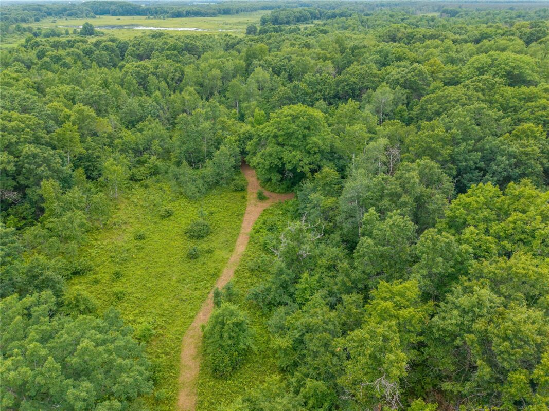N1297 CTH E, Bruce WI 54819 - Land house for sale - MLS #1602906 - image27
