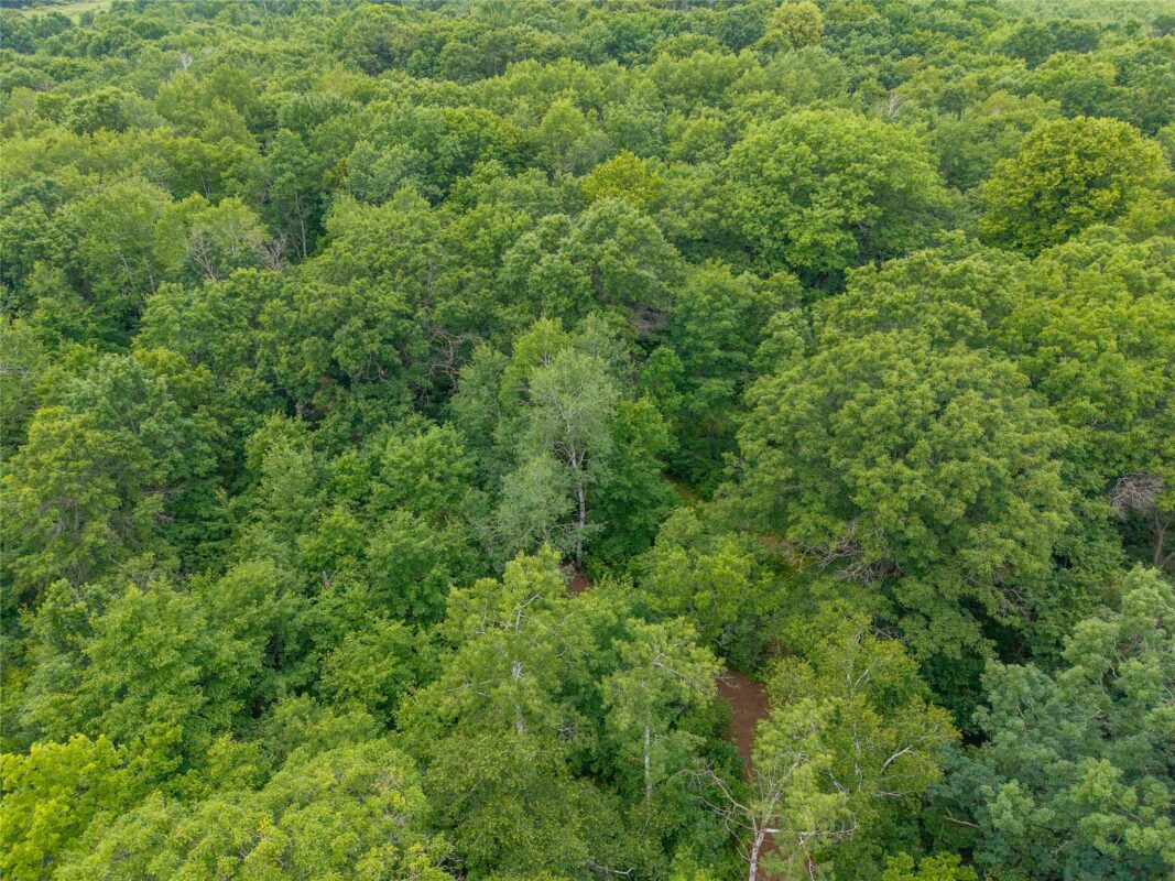 N1297 CTH E, Bruce WI 54819 - Land house for sale - MLS #1602906 - image28