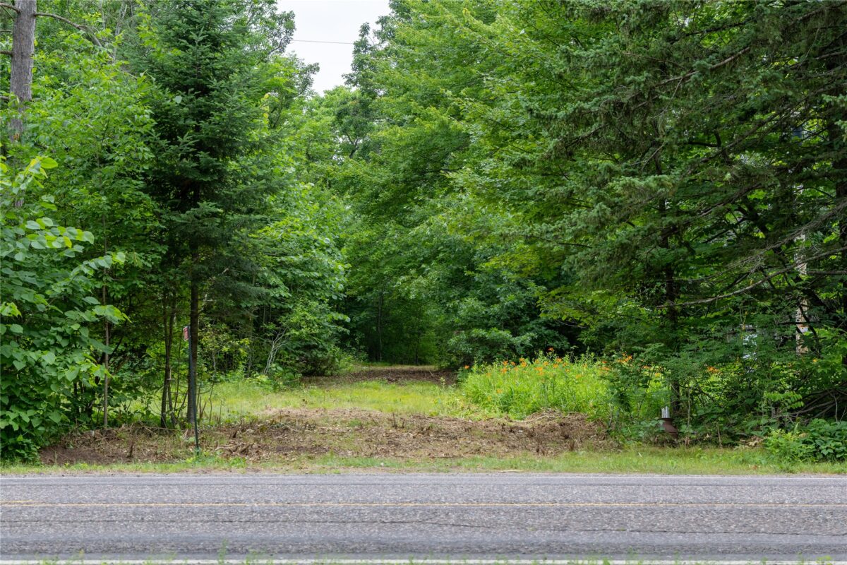 N1297 CTH E, Bruce WI 54819 - Land house for sale - MLS #1602906 - image4