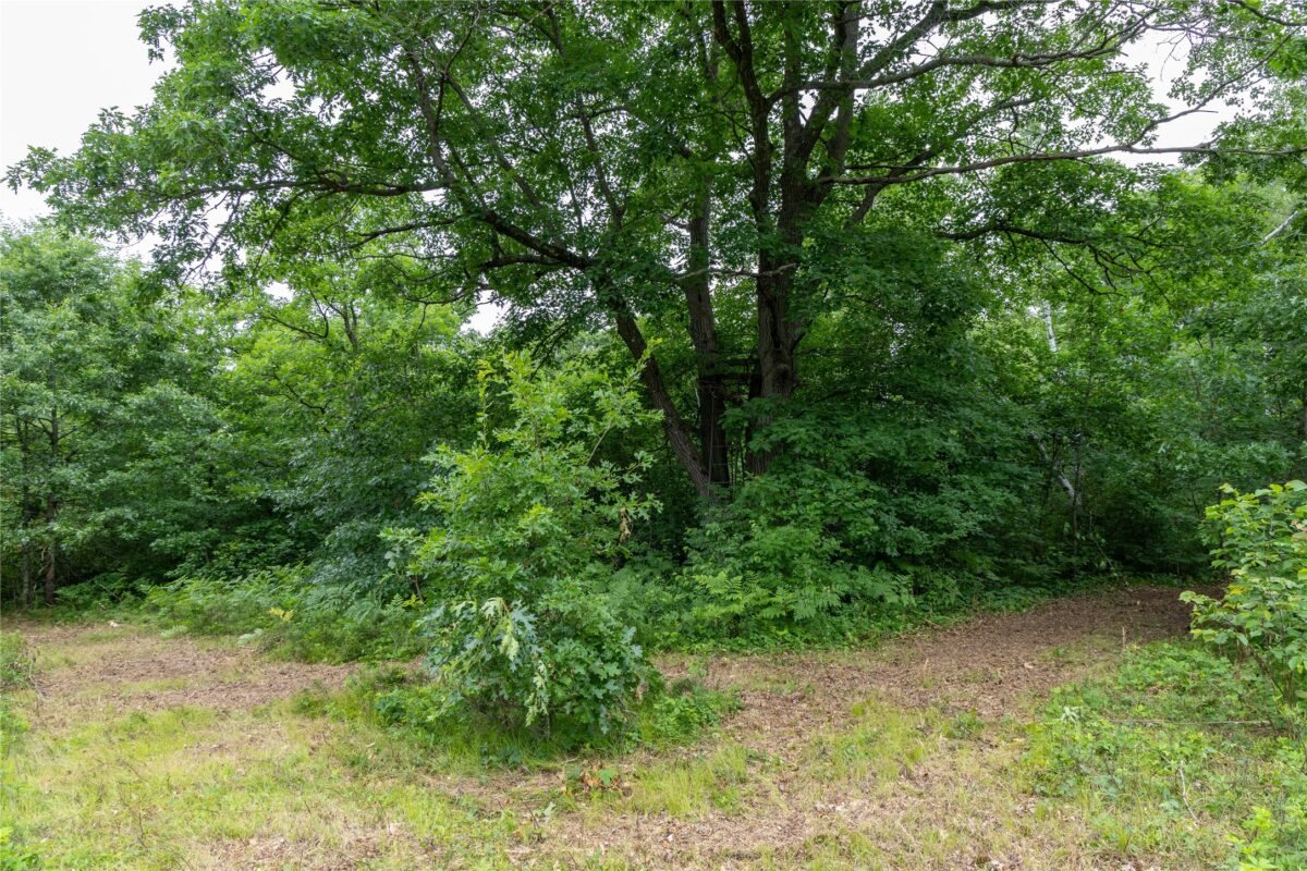 N1297 CTH E, Bruce WI 54819 - Land house for sale - MLS #1602906 - image38