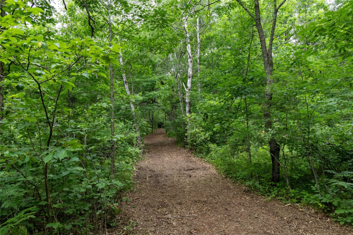 N1297 CTH E, Bruce WI 54819 - Land house for sale - MLS #1602906 - image39
