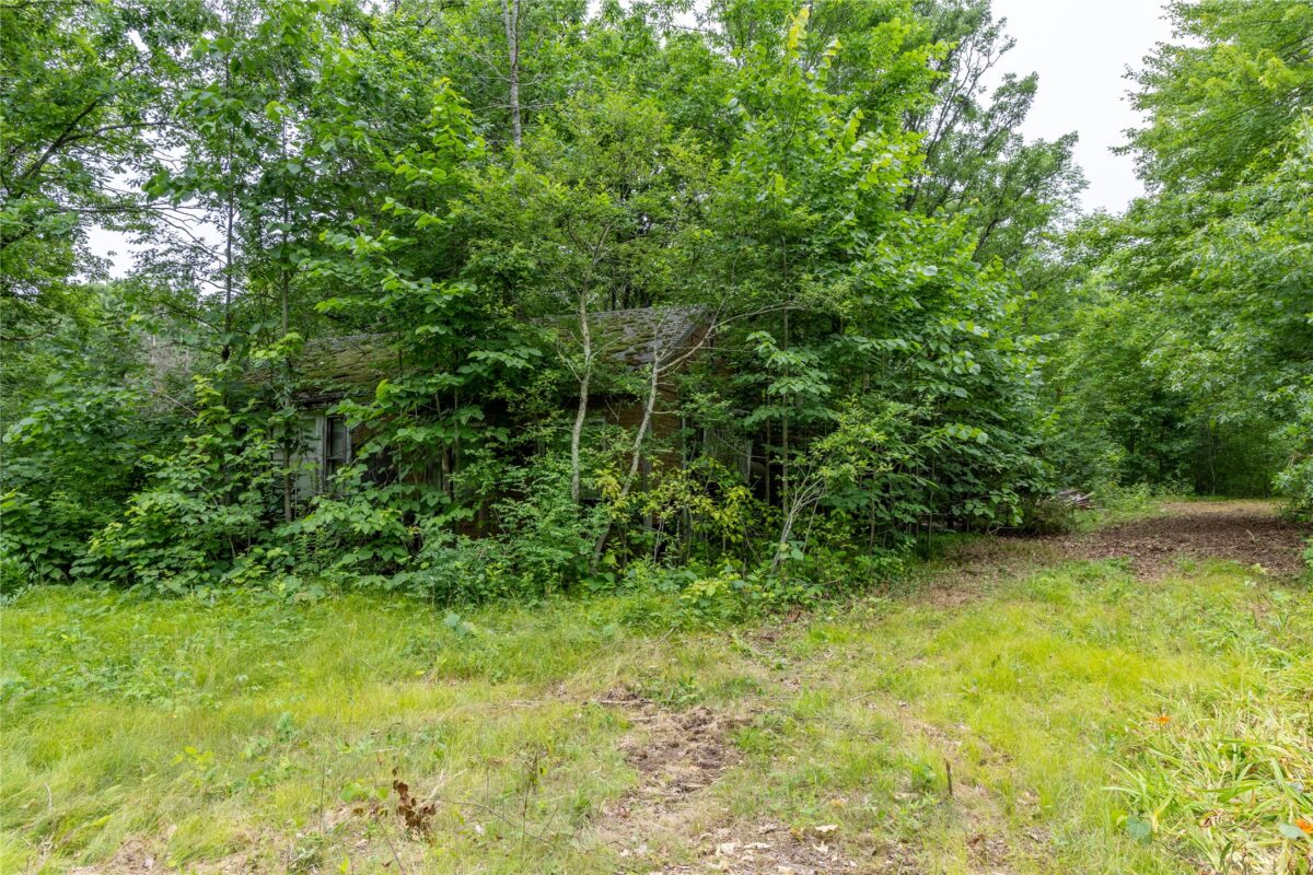 N1297 CTH E, Bruce WI 54819 - Land house for sale - MLS #1602906 - image5
