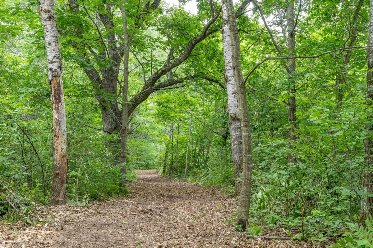 N1297 CTH E, Bruce WI 54819 - Land house for sale - MLS #1602906 - image42