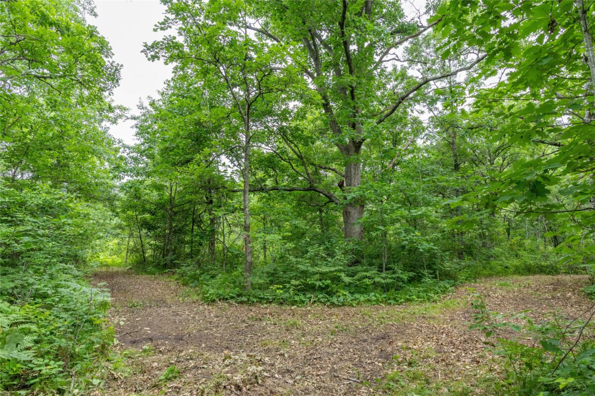 N1297 CTH E, Bruce WI 54819 - Land house for sale - MLS #1602906 - image43