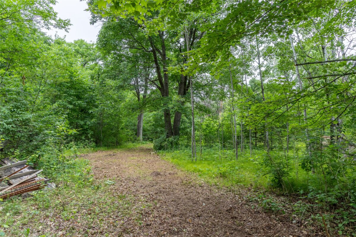 N1297 CTH E, Bruce WI 54819 - Land house for sale - MLS #1602906 - image6