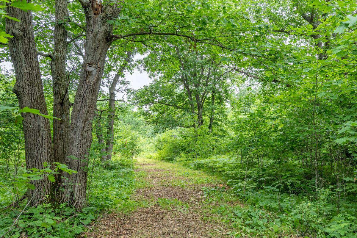 N1297 CTH E, Bruce WI 54819 - Land house for sale - MLS #1602906 - image7