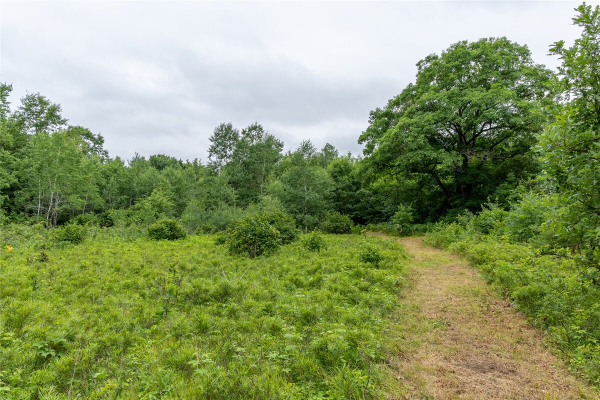 N1297 CTH E, Bruce WI 54819 - Land house for sale - MLS #1602906 - image8