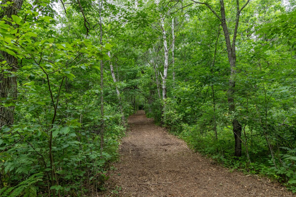 N1297 CTH E, Bruce WI 54819 - Land house for sale - MLS #1602906 - image10