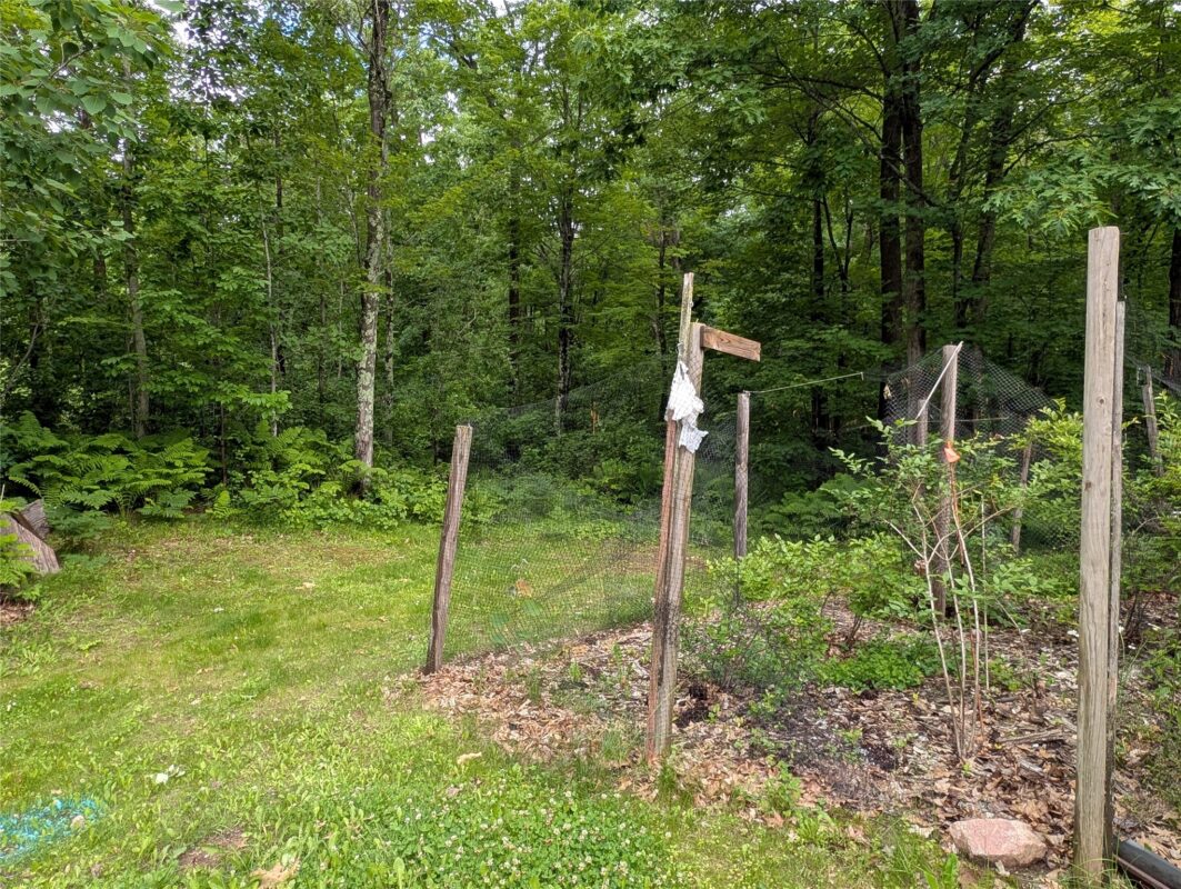 N131 Dalen Road, Birchwood WI 54817 - Residential house for sale - MLS #1602460 - image47