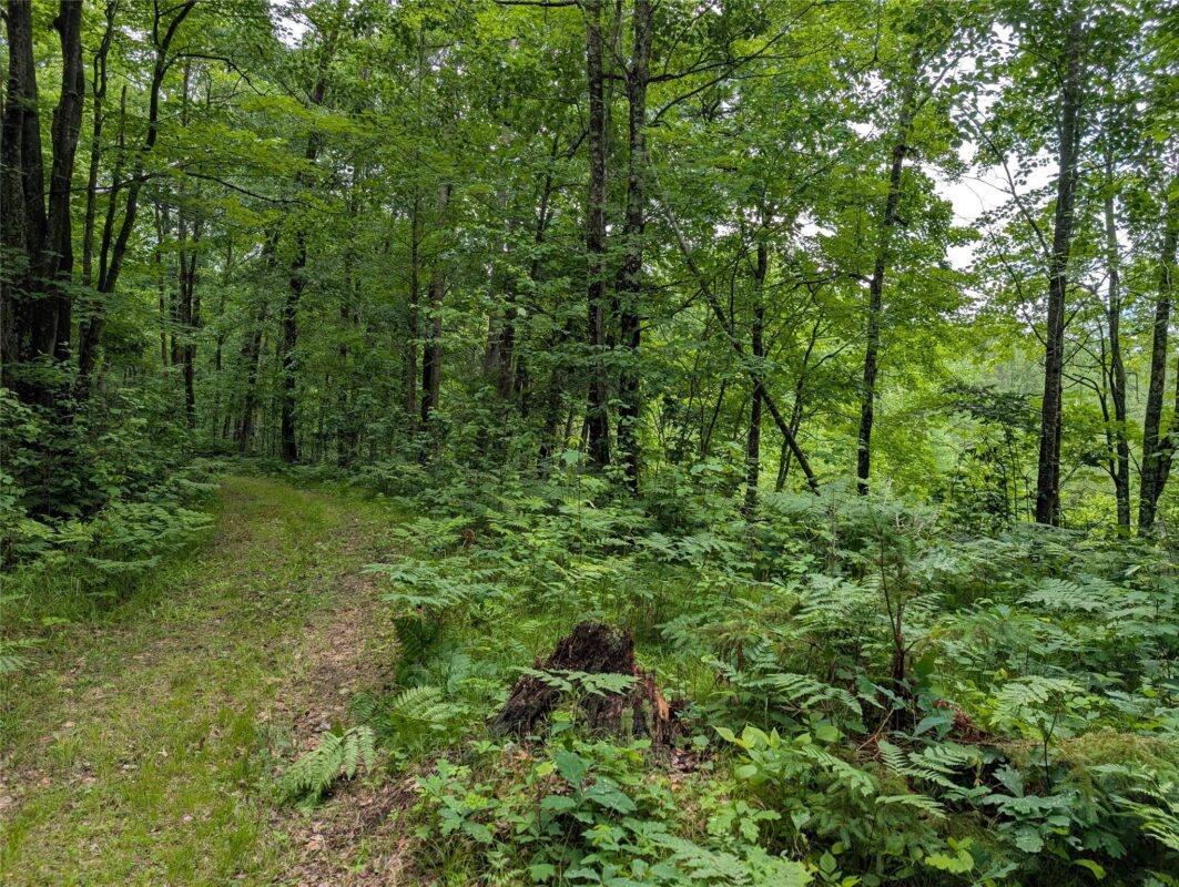 N131 Dalen Road, Birchwood WI 54817 - Residential house for sale - MLS #1602460 - image50