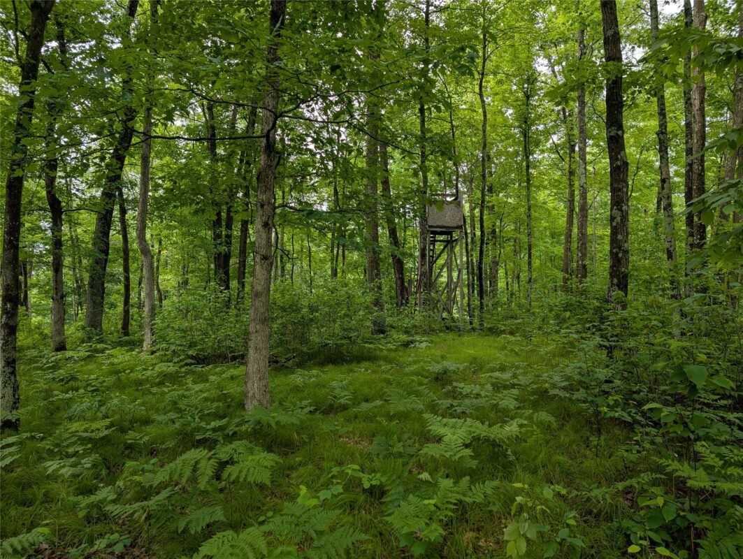 N131 Dalen Road, Birchwood WI 54817 - Residential house for sale - MLS #1602460 - image51