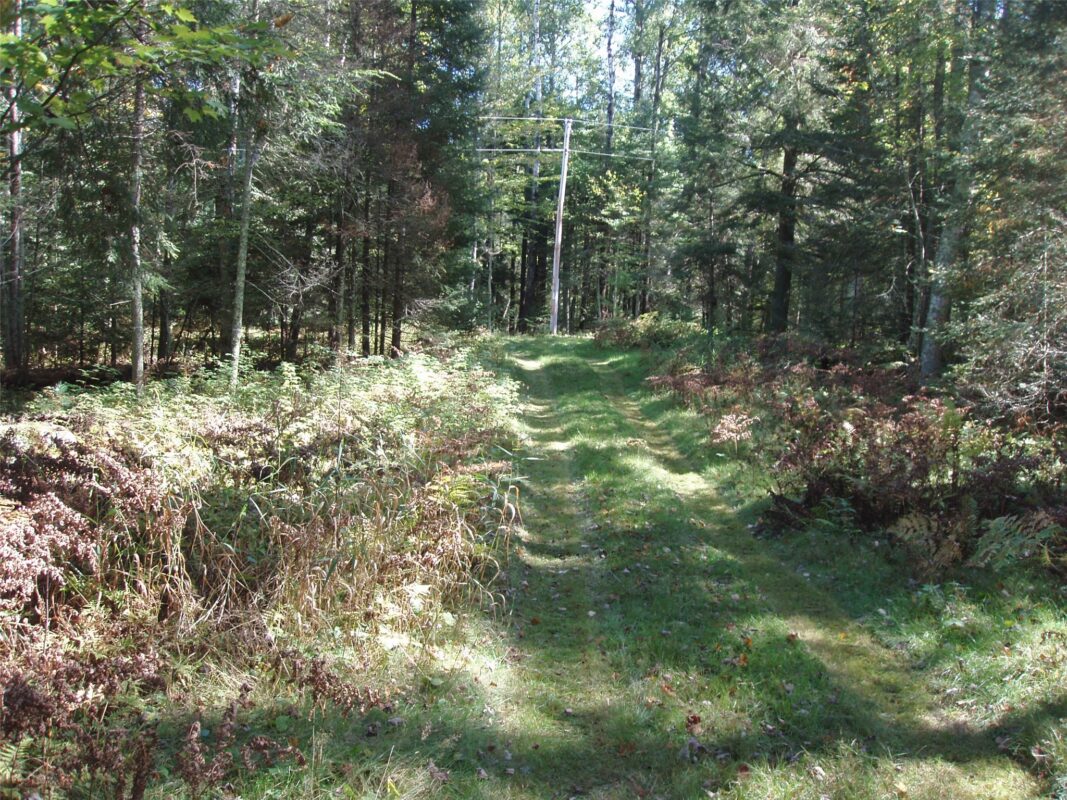 N15671 Evergreen Road, Park Falls WI 54552 - Land house for sale - MLS #1599623 - image11