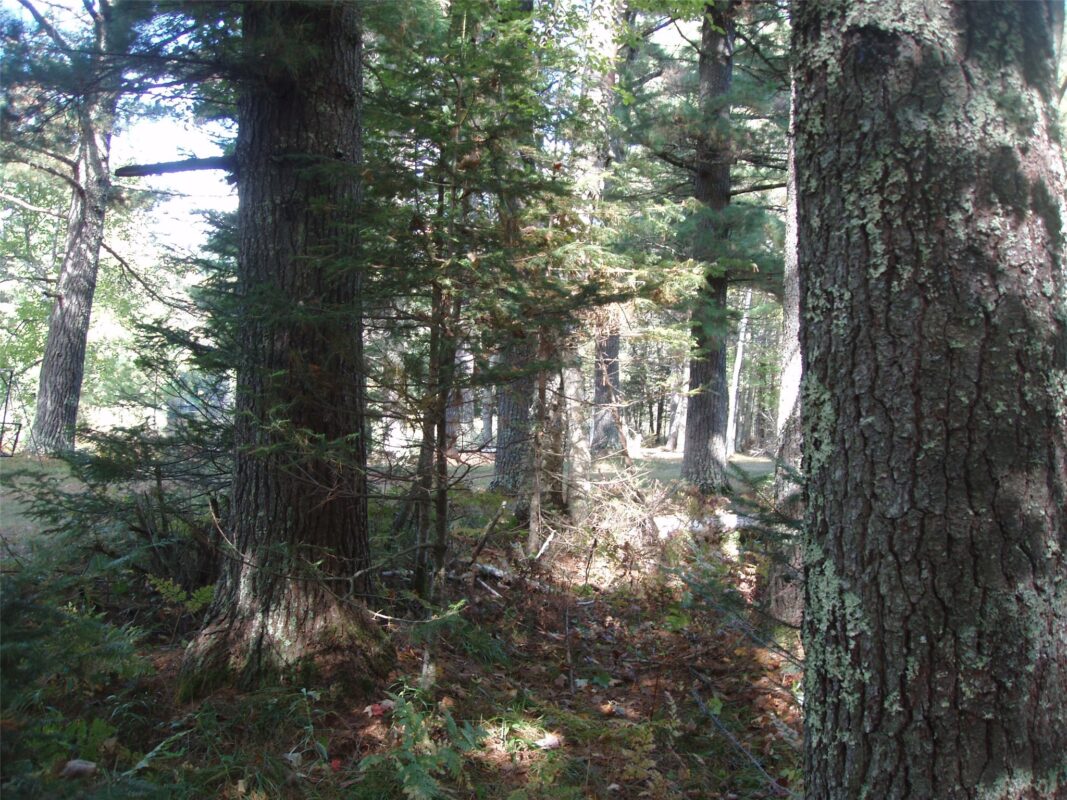 N15671 Evergreen Road, Park Falls WI 54552 - Land house for sale - MLS #1599623 - image23
