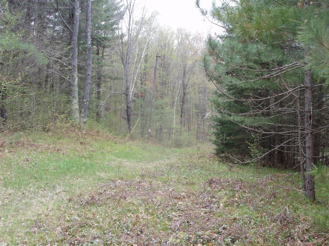 N16473 Patterson Lake Road, Park Falls WI 54552 - Land house for sale - MLS #1603551 - image3
