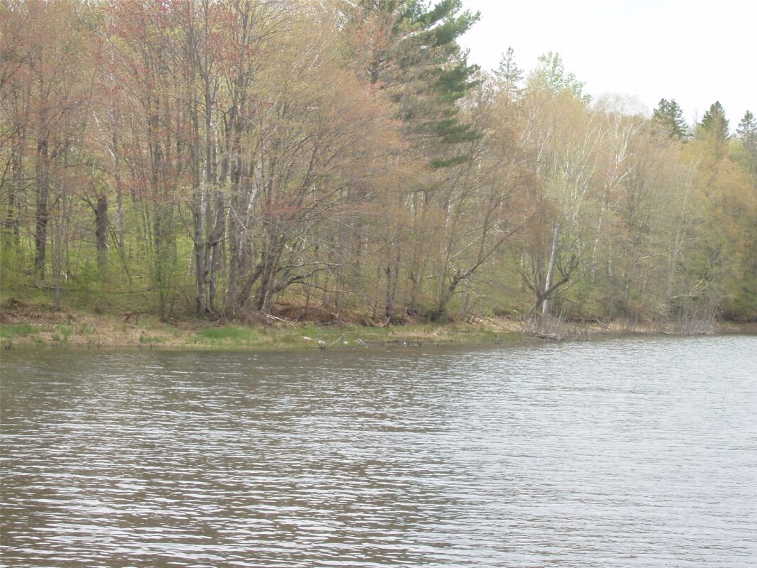 N16473 Patterson Lake Road, Park Falls WI 54552 - Land house for sale - MLS #1603551 - image4