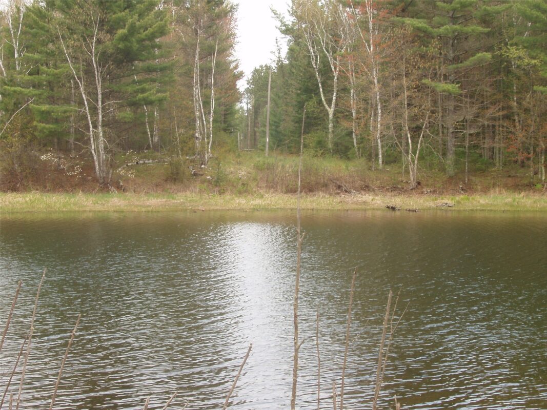 N16473 Patterson Lake Road, Park Falls WI 54552 - Land house for sale - MLS #1603551 - image7