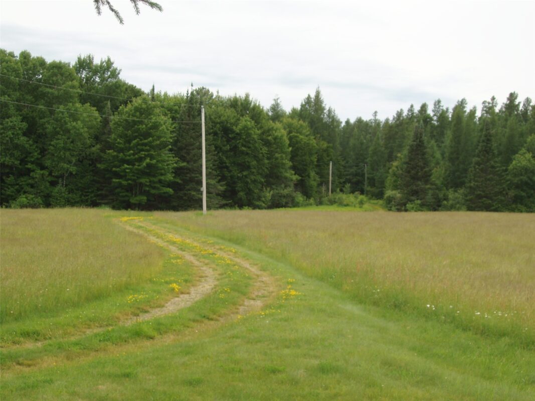 N16798 Bass Lake Road, Butternut WI 54514 - Residential house for sale - MLS #1603059 - image33