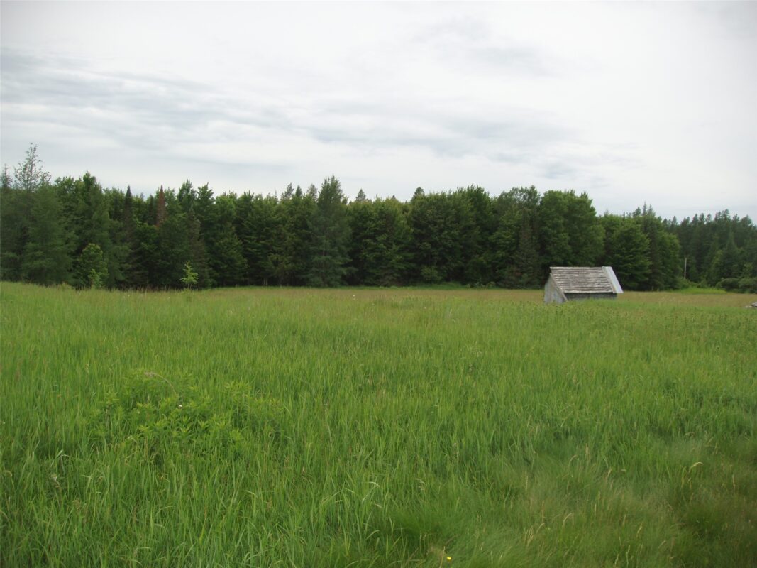 N16798 Bass Lake Road, Butternut WI 54514 - Residential house for sale - MLS #1603059 - image34