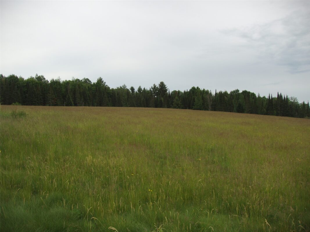 N16798 Bass Lake Road, Butternut WI 54514 - Residential house for sale - MLS #1603059 - image36