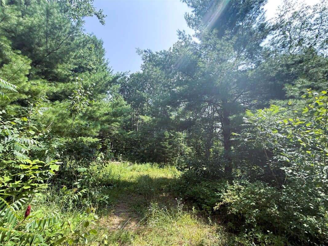 N3720 Hwy 40, Bruce WI 54819 - Land house for sale - MLS #1603658 - image11