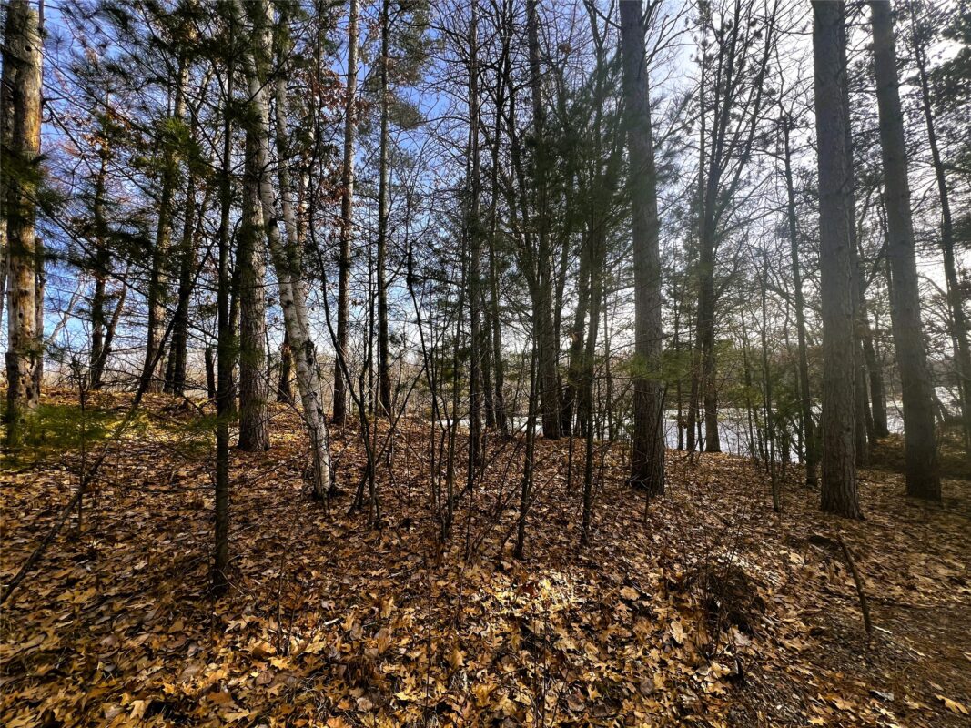 N3720 State Highway 40, Bruce WI 54819 - Land house for sale - MLS #1603658 - image19
