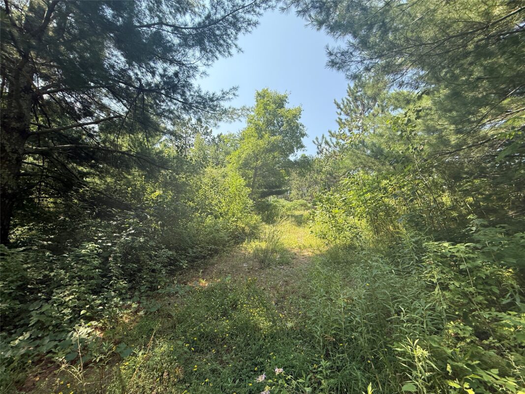 N3720 State Highway 40, Bruce WI 54819 - Land house for sale - MLS #1603658 - image10