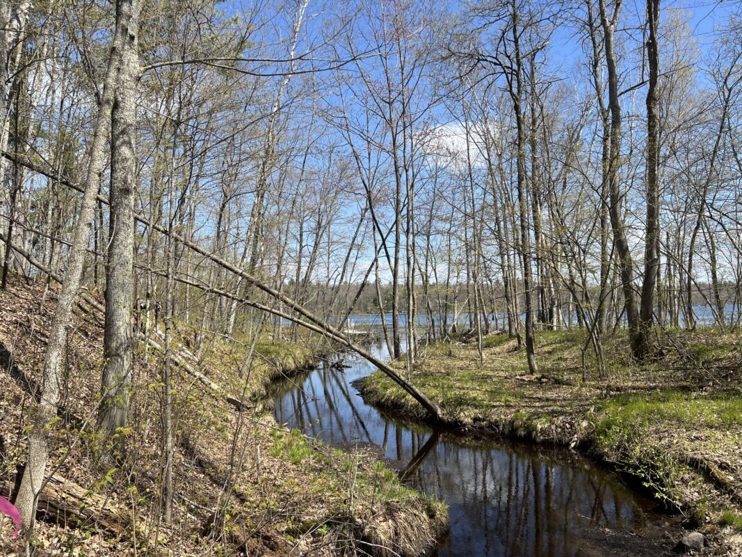 N4365 Red Oak Lane, Stone Lake WI 54876 - Land house for sale - MLS #1601171 - image12