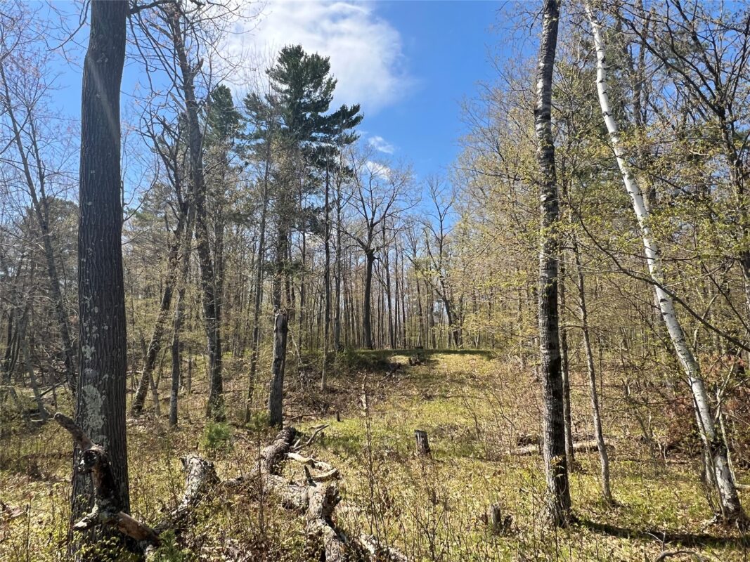 N4365 Red Oak Lane, Stone Lake WI 54876 - Land house for sale - MLS #1601171 - image21