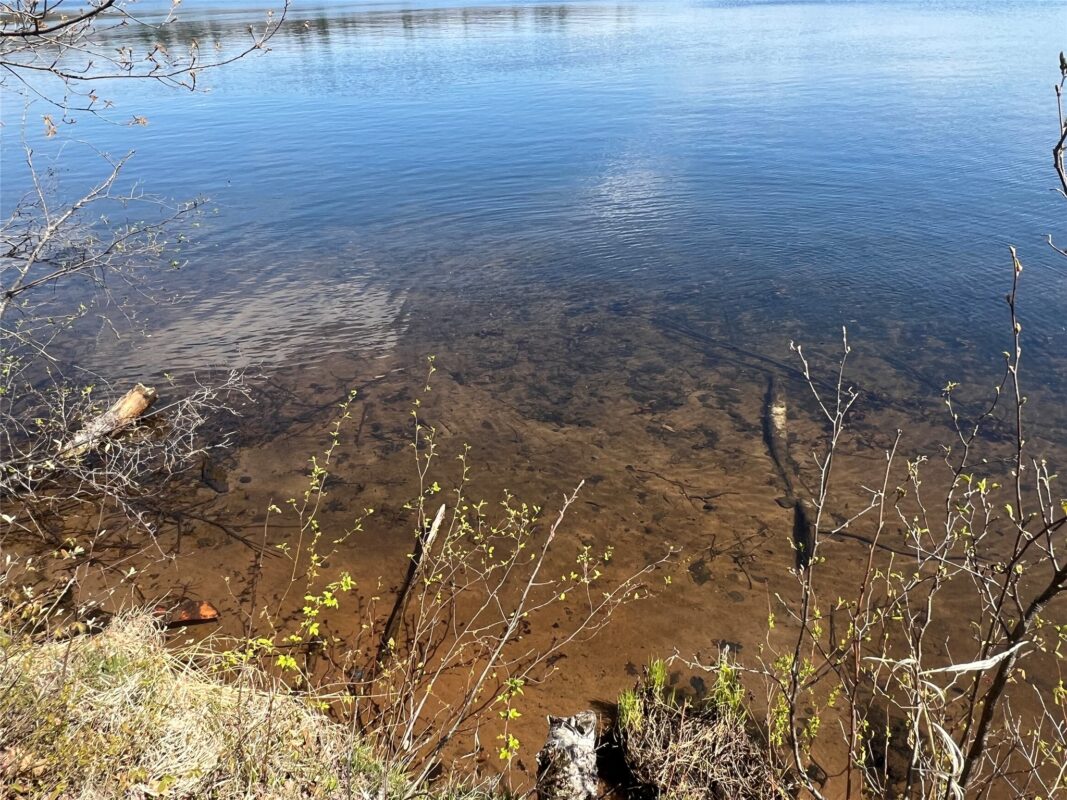 N4365 Red Oak Lane, Stone Lake WI 54876 - Land house for sale - MLS #1601171 - image22