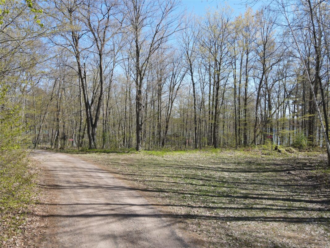 N4365 Red Oak Lane, Stone Lake WI 54876 - Land house for sale - MLS #1601171 - image8