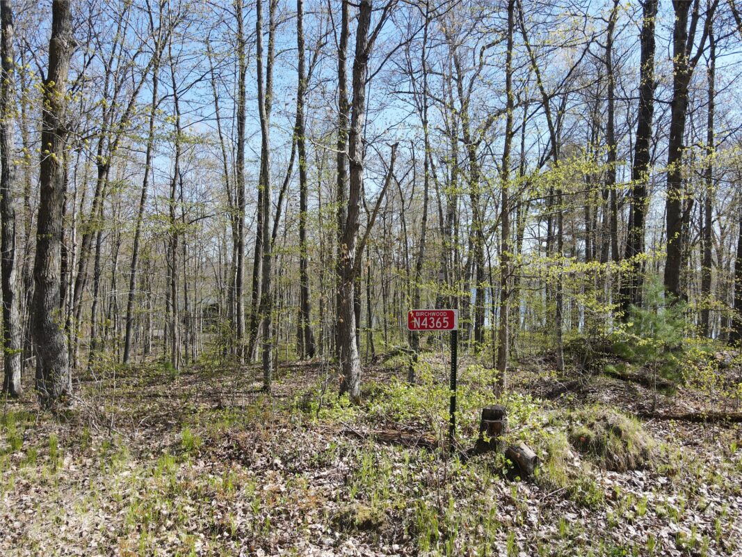N4365 Red Oak Lane, Stone Lake WI 54876 - Land house for sale - MLS #1601171 - image9