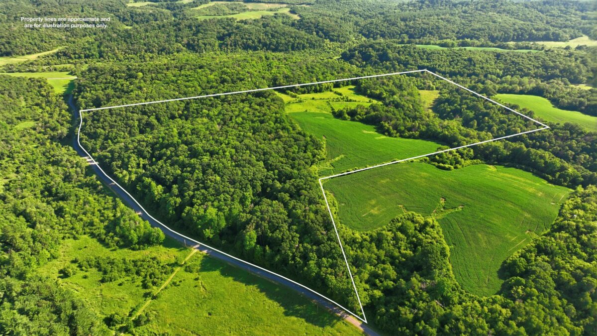 N44681 Hawkenson Valley Road, Eleva WI 54738 - Residential house for sale - MLS #1602782 - image2