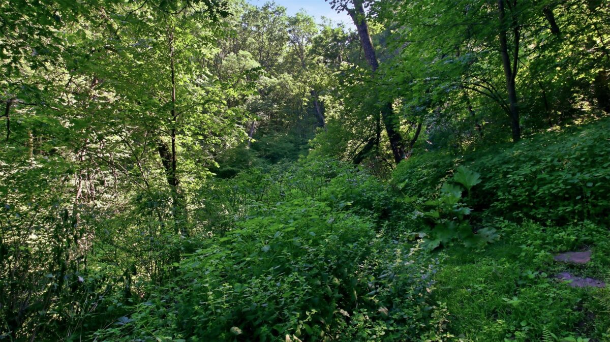 N44681 Hawkenson Valley Road, Eleva WI 54738 - Residential house for sale - MLS #1602782 - image22