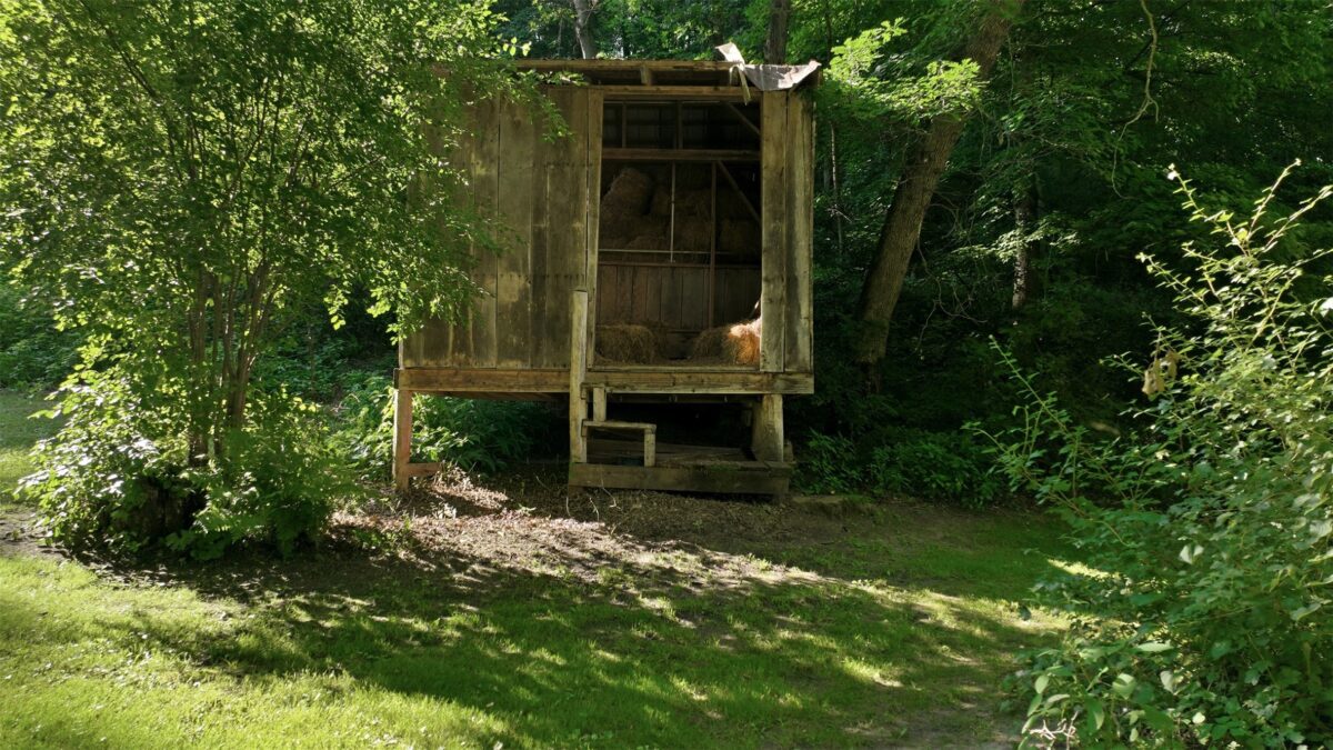 N44681 Hawkenson Valley Road, Eleva WI 54738 - Residential house for sale - MLS #1602782 - image28
