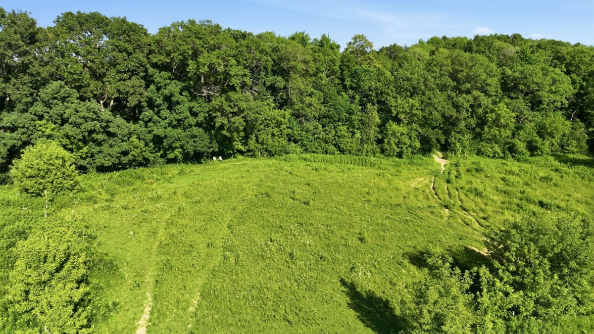 N44681 Hawkenson Valley Road, Eleva WI 54738 - Residential house for sale - MLS #1602782 - image39