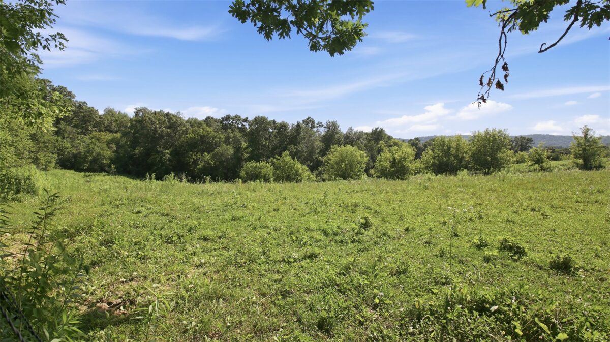 N44681 Hawkenson Valley Road, Eleva WI 54738 - Residential house for sale - MLS #1602782 - image41